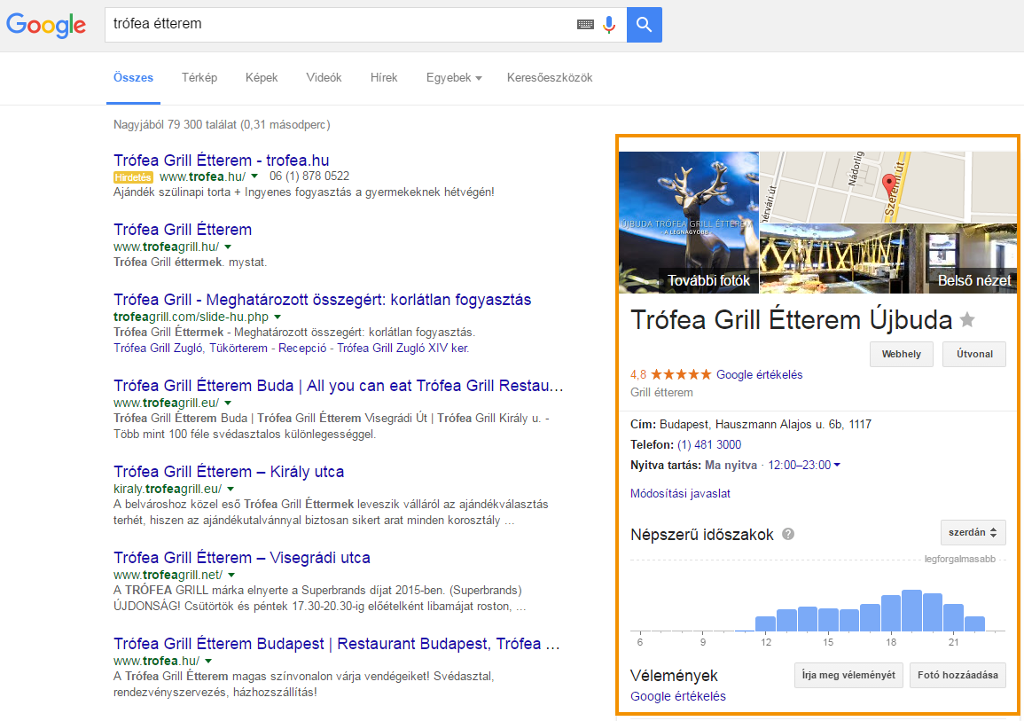 Helyi Knowledge Graph Panel